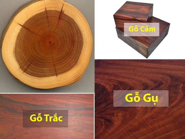 Các loại gỗ được phân biệt nhờ màu sắc, vân gỗ